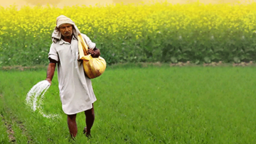 Infinite Glitches Of Fertilizer Business In Pakistan
