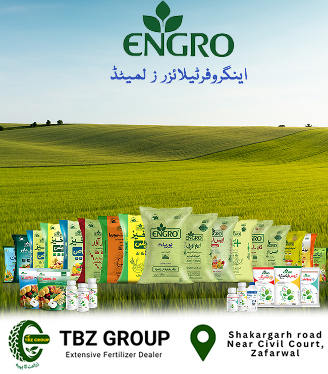 Engro_Banner.png